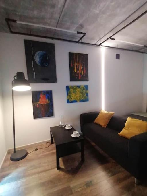 Erdvi Studija Spacious Studio Apartment Self Check In 빌뉴스 외부 사진